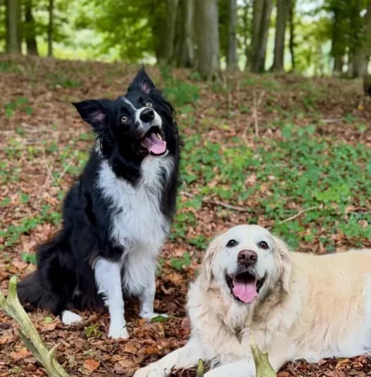 Freya and Skye